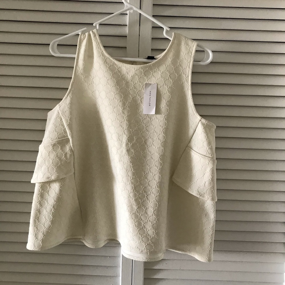 Ann Taylor top